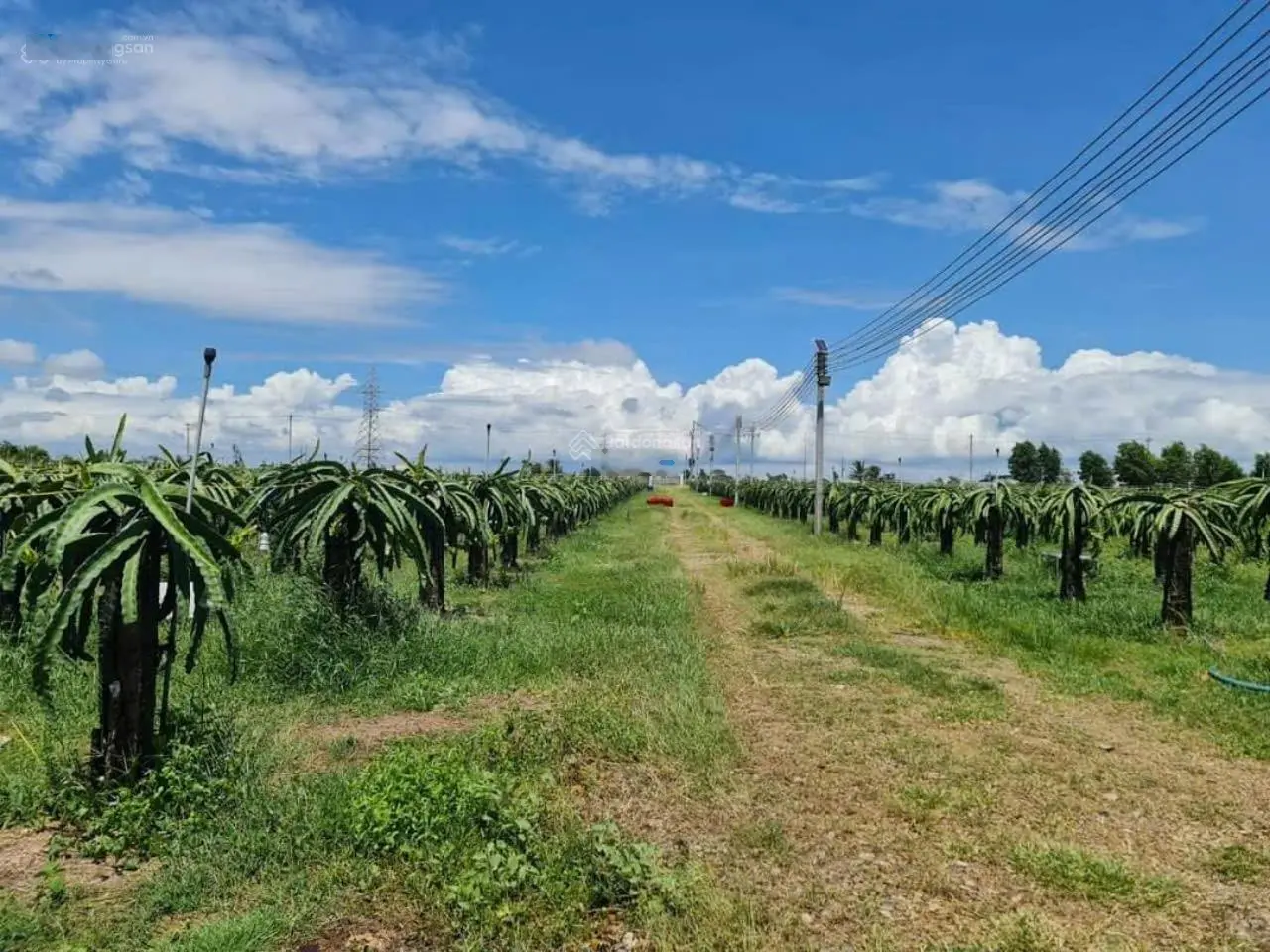 Cần Bán Đất Trang Trại Mặt Tiền Đường Liên Tỉnh Gần Biển Nova Thuận Quý, Bình Thuận