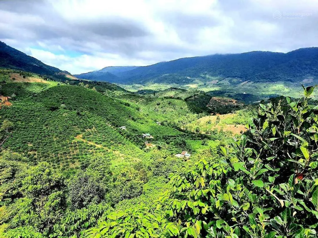 Đất đẹp. Mặt tiền đường lộ nhựa dài hơn 200m. View đẹp. Sổ hồng riêng. Chính chủ: 0909 770 ***