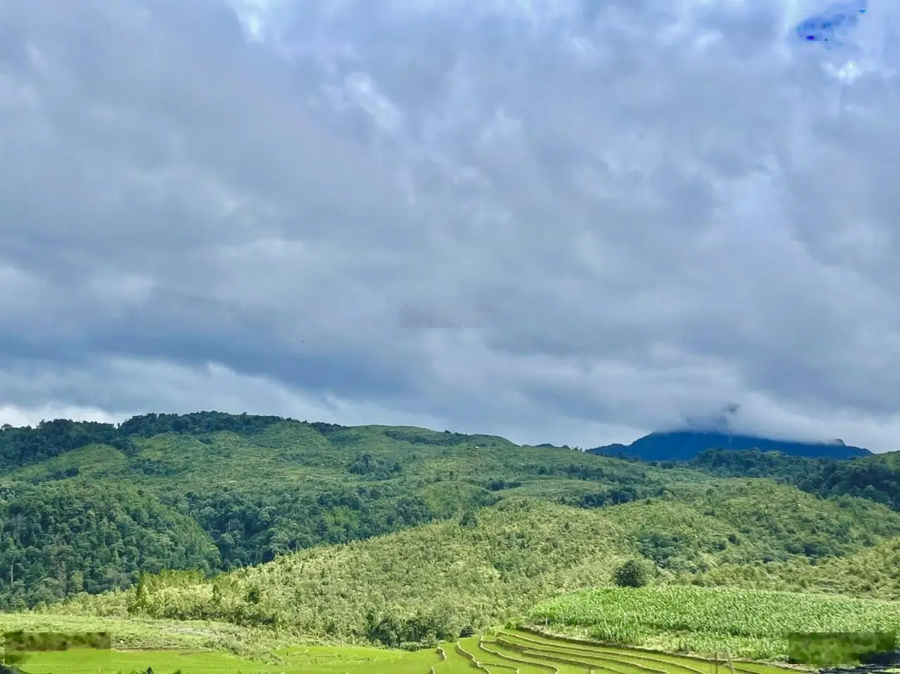 Bán đất trung tâm thôn Phìn Hồ, xã Y Tý, huyện Bát Xát, tỉnh Lào Cai