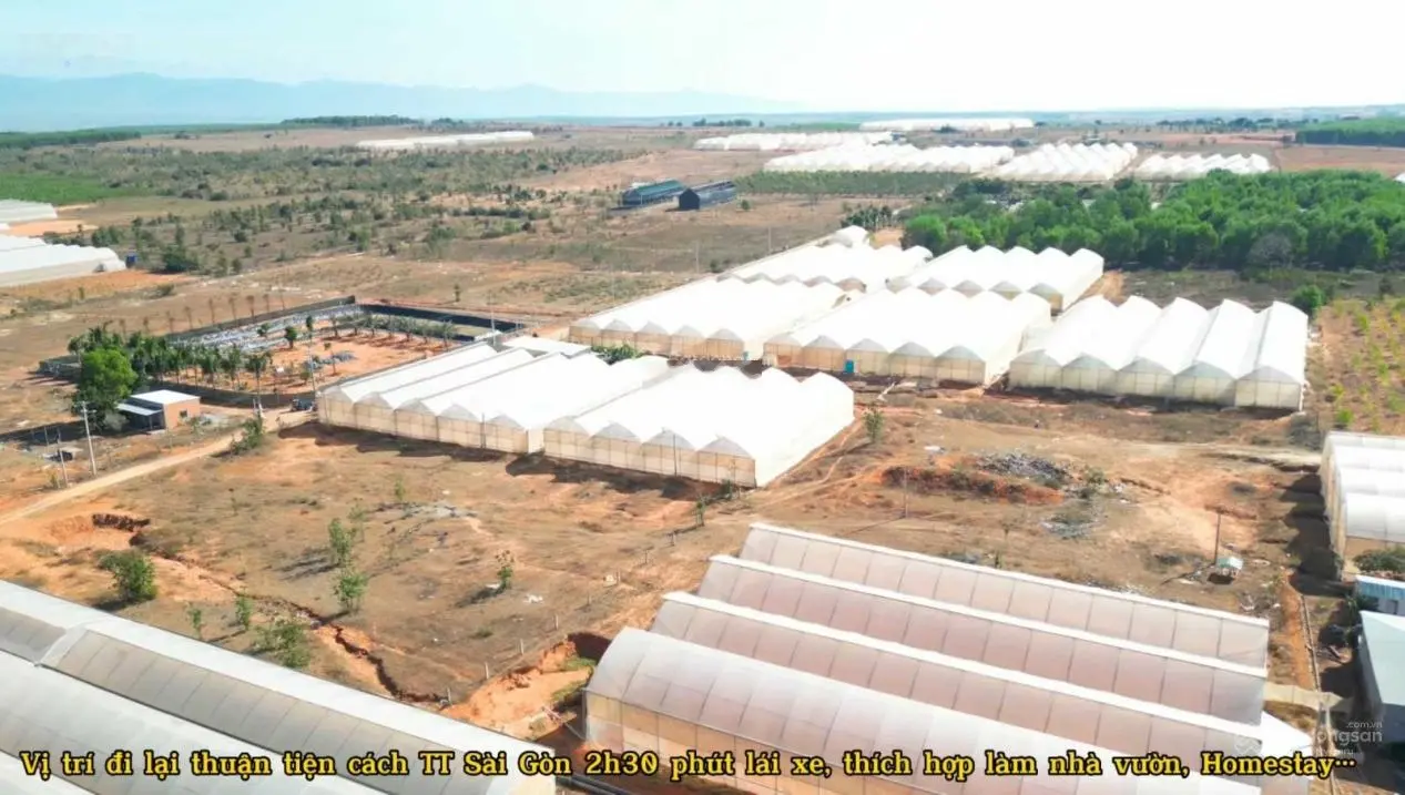 Cực phẩm đất làm Farm Xã Hòa Thắng 7163.4m2, cách biển 15p, làm Farm hay phát triển du lịch đều đẹp