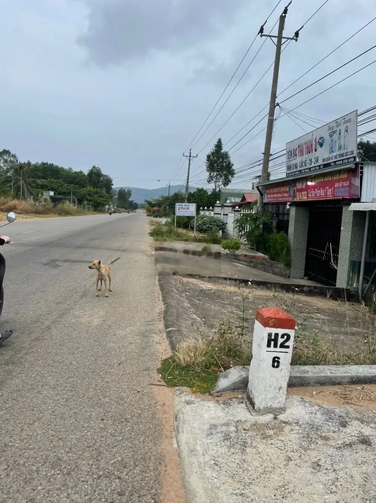 Cần Bán Đất Mặt Tiền Nằm Trên QL 55 Gần CT Phan Thiết - Dầu Giây