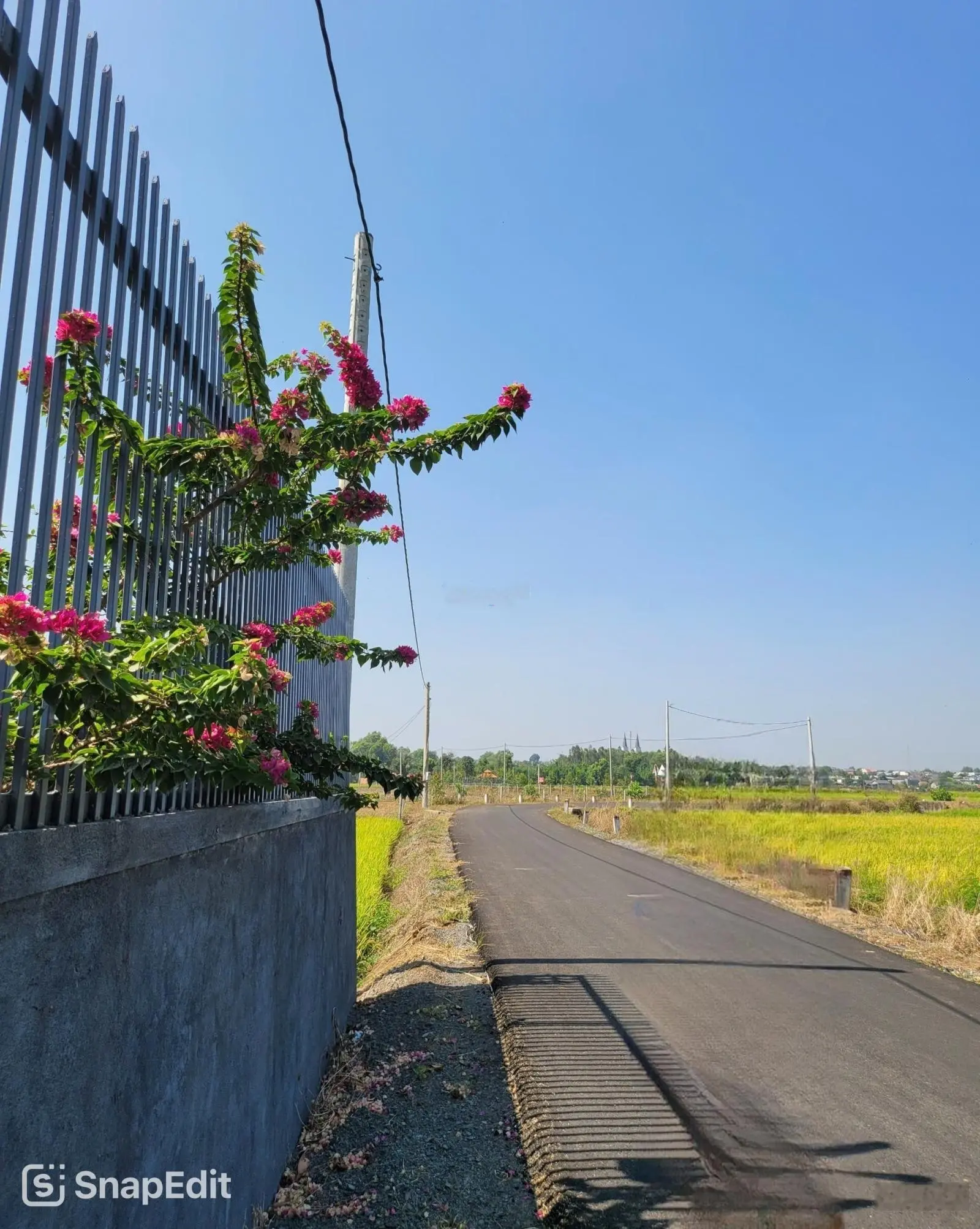 Bán hơn 2.6 sào nhà vườn bình trung - châu đức có sẵn nhà và ao cá, cây ăn trái chỉ 2.x tỷ