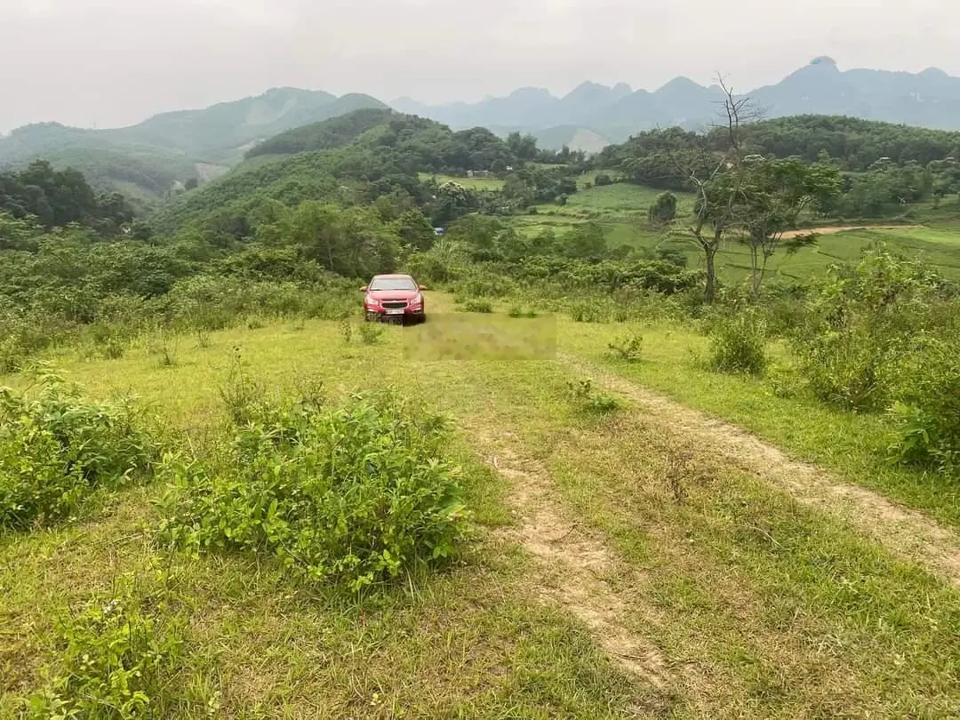 Bán đất rừng sản xuất, ô tô phóng tận đất tại Lạc Thủy, Hoà Bình. Diện tích 60000m2