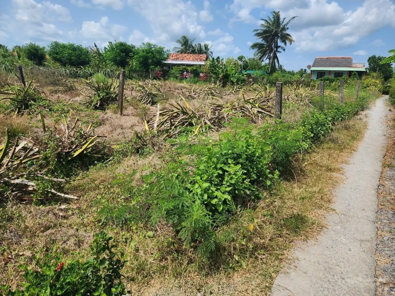 Đất nền sổ hồng riêng Châu Thành, Long An