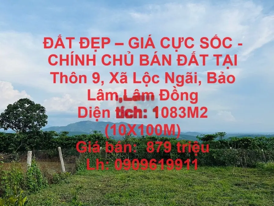 CHÍNH CHỦ BÁN ĐẤT TẠI Thôn 9, Xã Lộc Ngãi, Bảo Lâm,Lâm Đồng