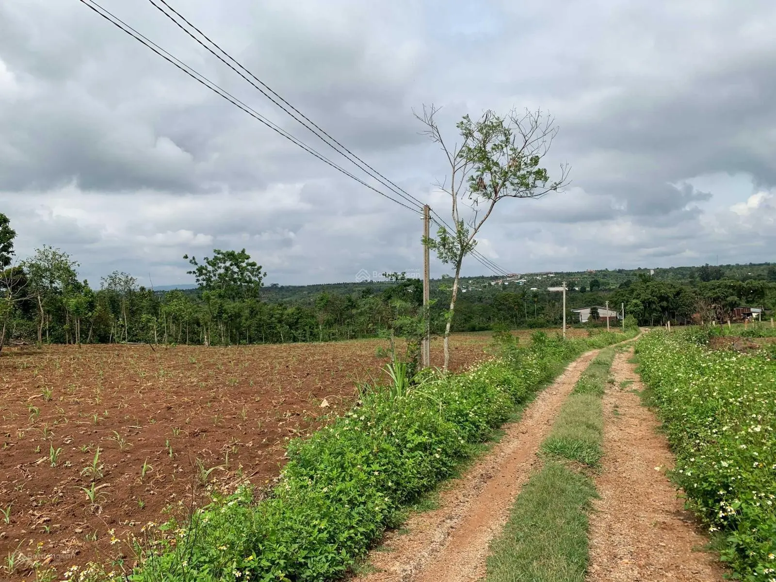 Đất nền Buôn Hồ - Đầu tư sinh lời cao