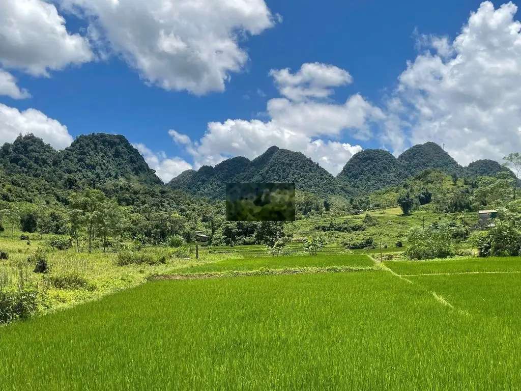 CC bán lô đất 2000M_200M thổ cư ao trong đất_Đà Bắc Hoà Bình_ 5xx tr