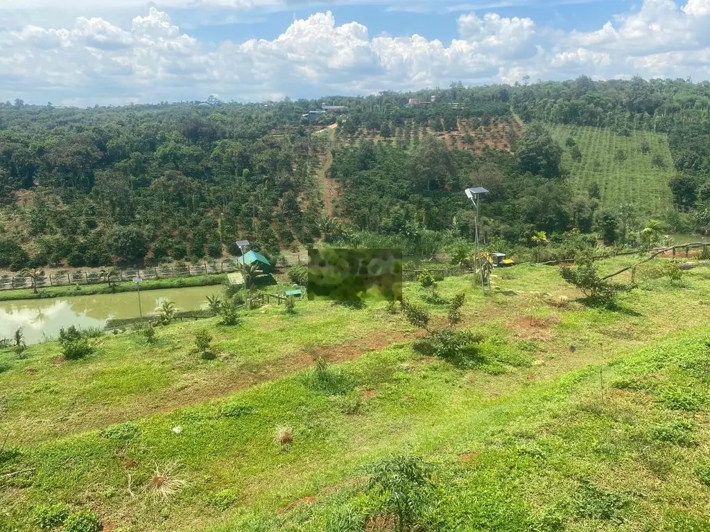 CÁCH SG 200km 1000m100TC 15 cây sầu sang năm thu mạnh