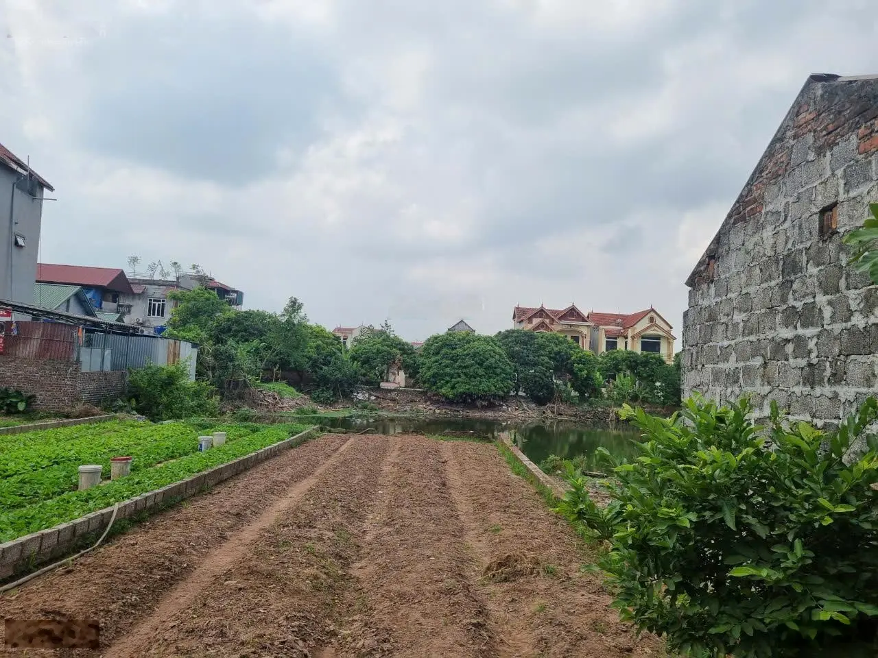 Cần bán nhà mặt phố lô góc đẹp giá 24,5 t/m tại Xã Dạ Trạch,huyện tân dân sát ecopark lh0941 195 ***