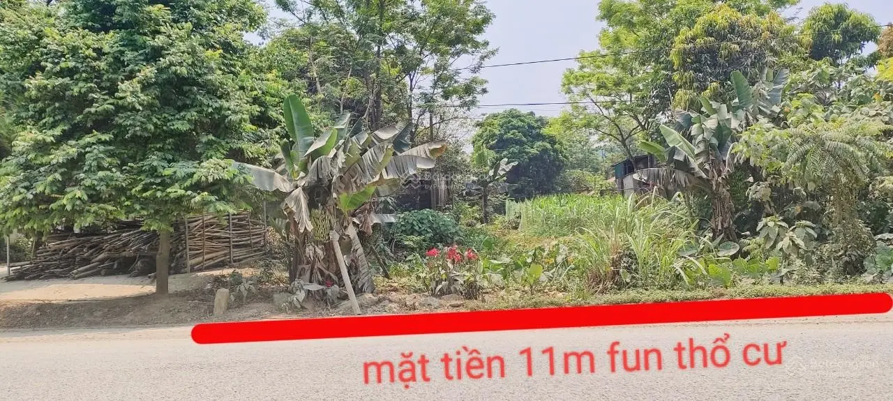 214m2 full thổ cư, mặt đường quốc lộ Hồ Chí Minh, Cao Dương, Lương Sơn, Hoà Bình