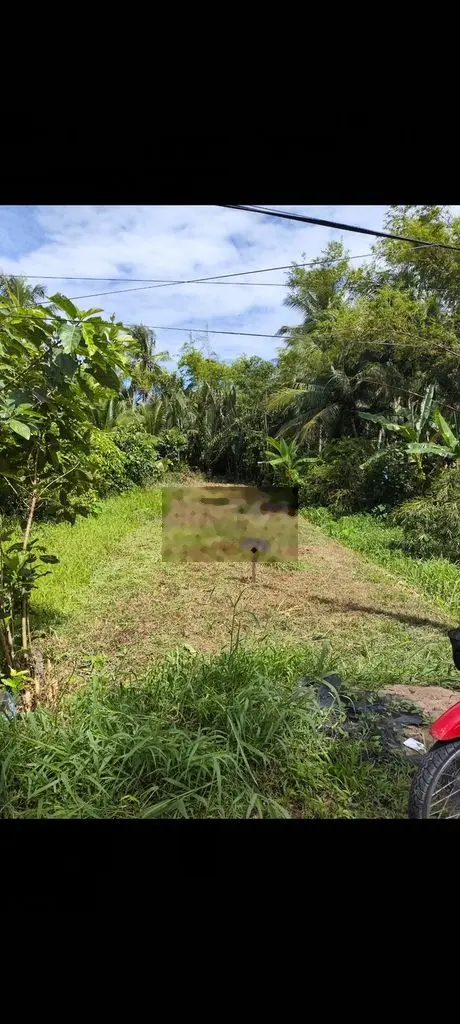 Cần bán đất nên trả ngân hàng