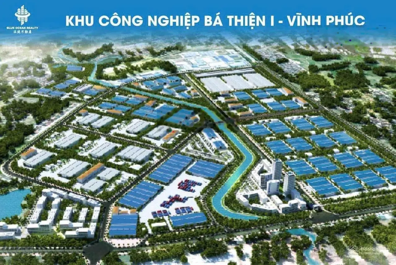 Bán đất tái định cư Minh Quang tam đảo vĩnh phúc DT 100m2 MT 5m vuông vắn