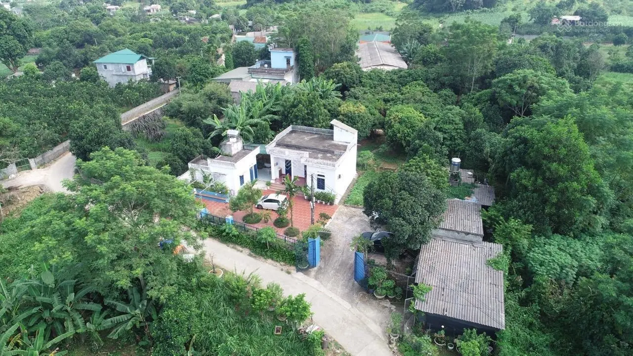 Cần bán homestay mini tại Kim Bôi Hoà Bình