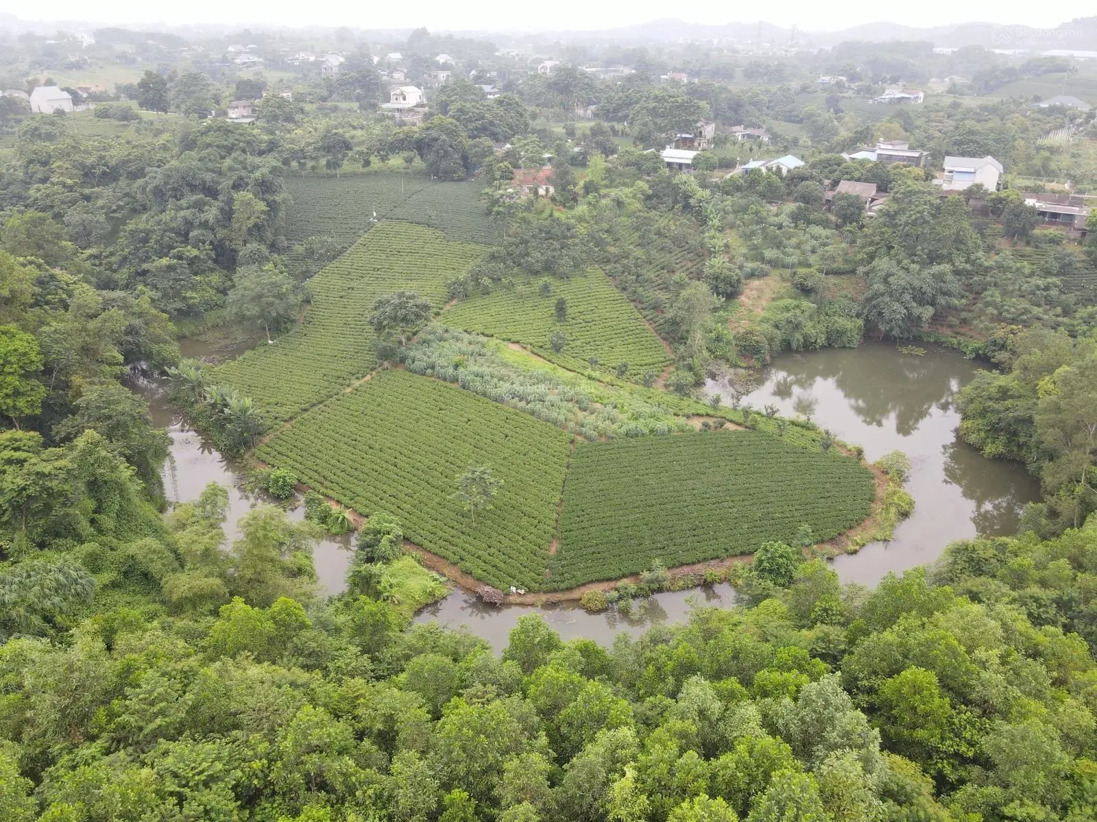 Cần bán 10.463m2 có 400m2 tc bám suối tại Tiên Hội, Đại Từ Thái Nguyên. Giá chỉ 500k/m2