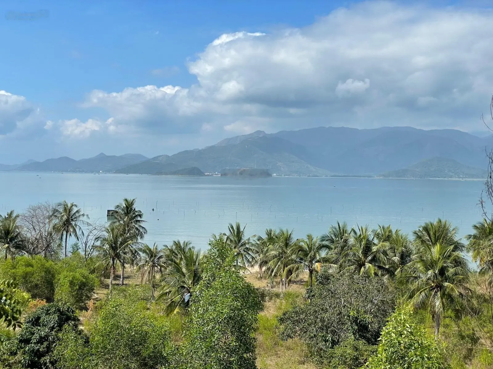 Cần bán 2 ha đất view biển Vịnh Nha Phu - Ninh Phú