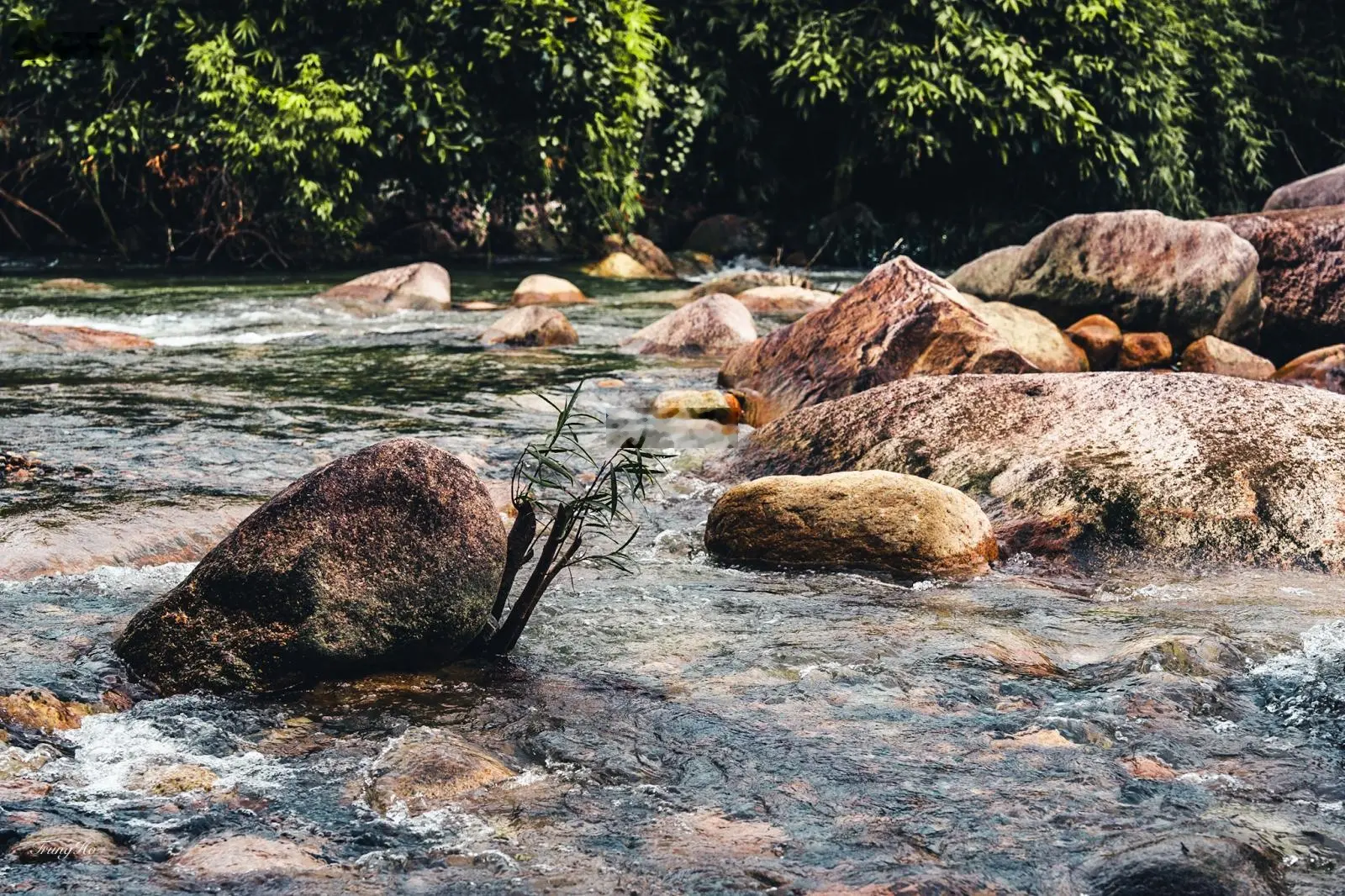 Bán mảnh giáp Suối Lách Giang Ly đẹp - Suối đầu nguồn