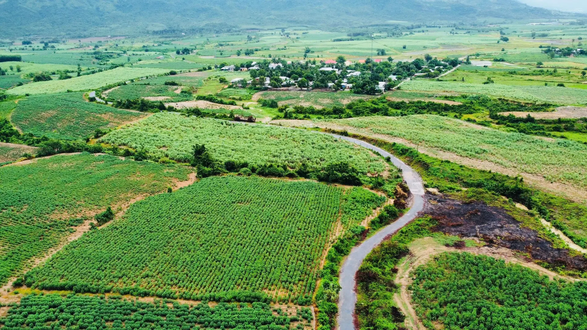 Chính chủ bán gấp lô đất Ninh Hoà, Ninh Tây - 7200m2 có đường qh 26m giữa đất tha hồ phân lô