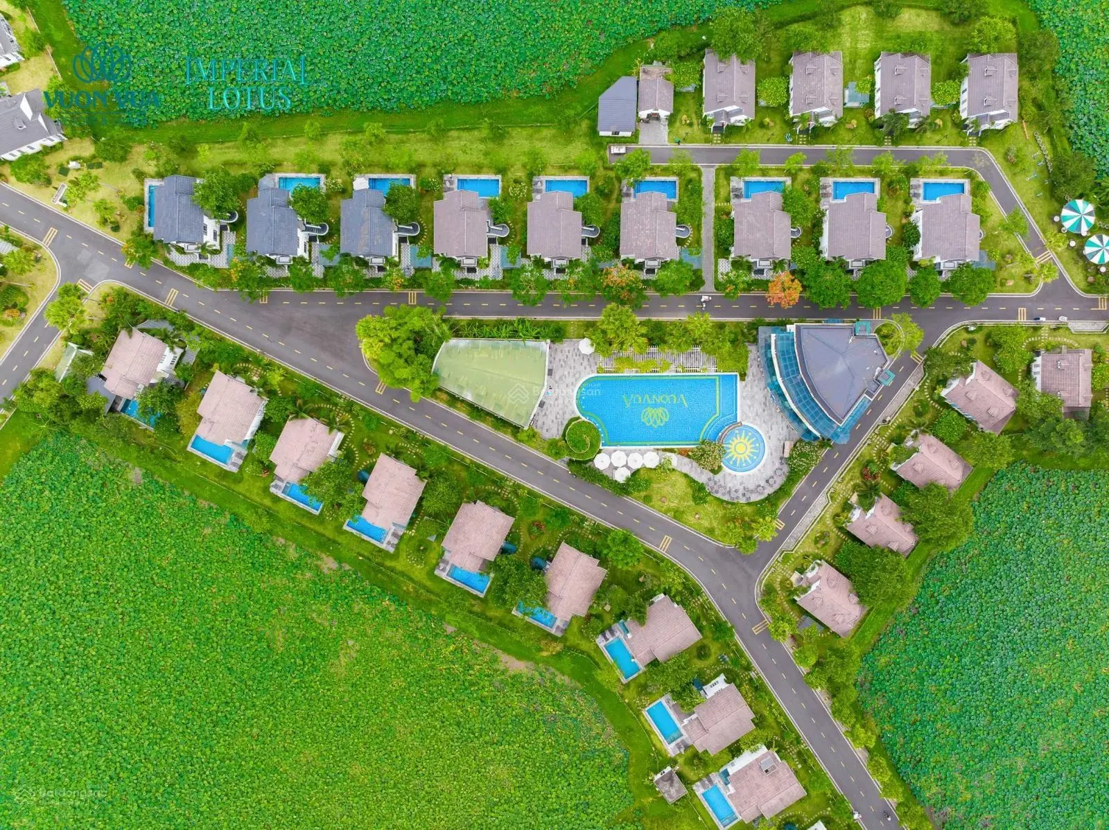 Biệt thự nghỉ dưỡng khoáng nóng compound duy nhất tại Vườn Vua Resort chỉ từ 6,5 tỷ/lô sổ hồng