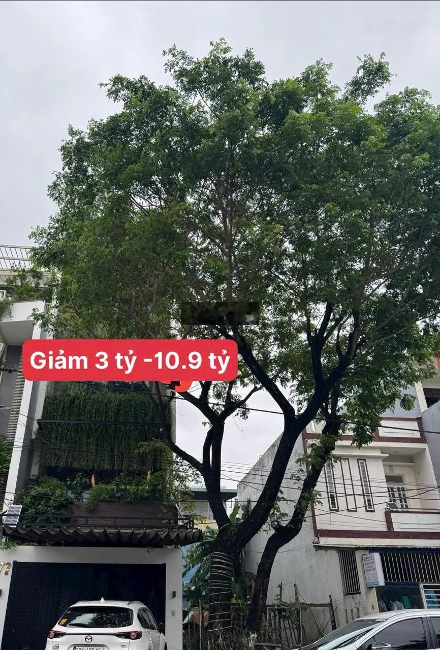 Hạ sâu 3 tỷ! Tòa căn hộ 7 tầng Văn Tiến Dũng Đ10.5m, 12 phòng, 60 triệu/tháng Hòa Xuân Đà Nẵng