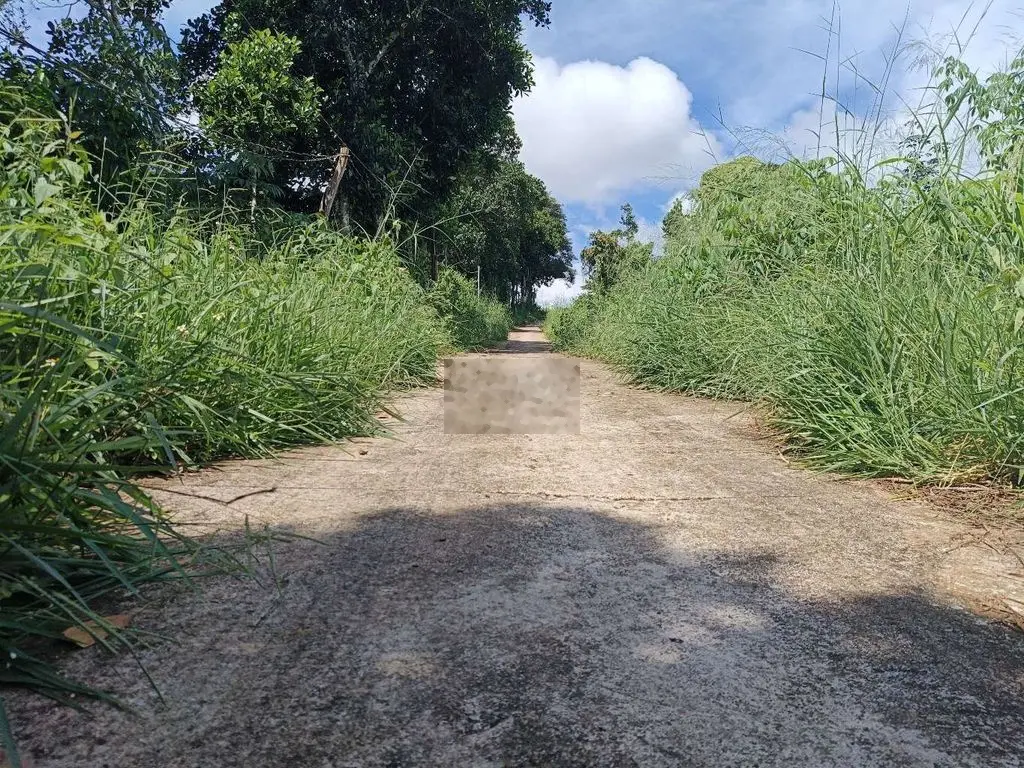 Bán 4.200m2, Đăk Wer, Đăk RLẤP, Đăk Nông.