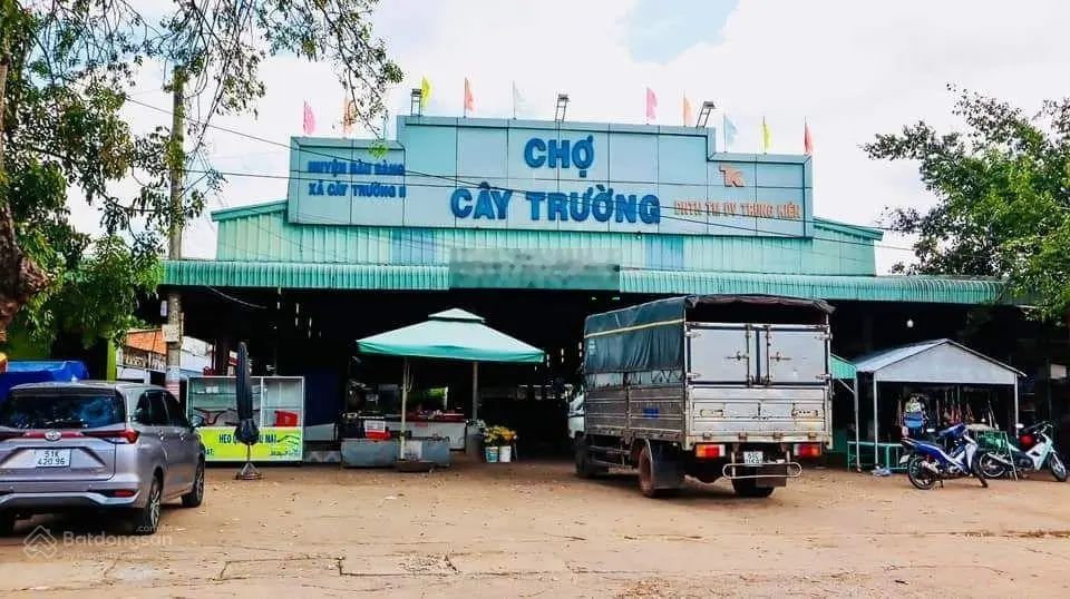 Đất sổ sẵn ngay khu công nghiệp cây trường - giá chỉ 400tr - có hỗ trợ ngân hàng