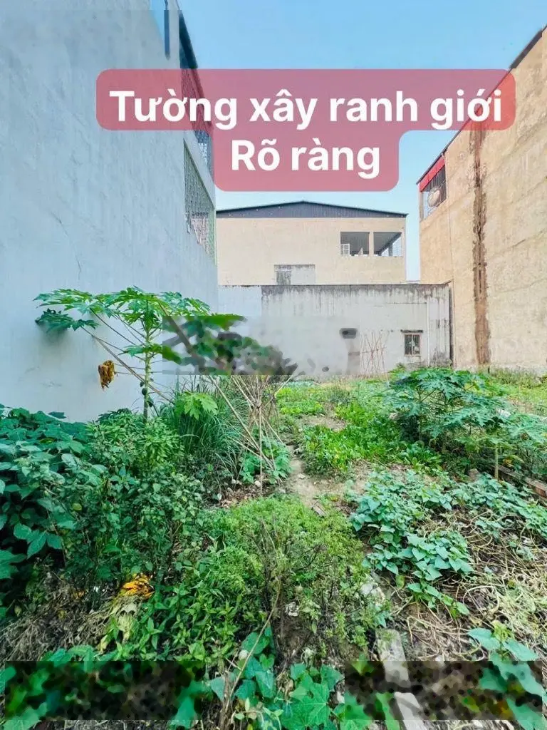 Bán đất tại tiền phong, giá siêu hời chỉ 3,8 tỷ vnd, diện tích 72,6m2, view đẹp