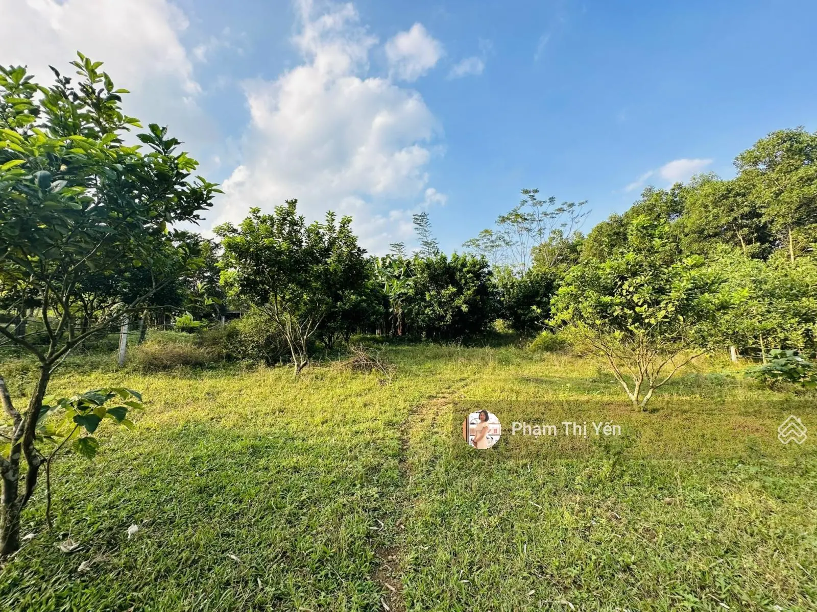 Cần bán đất tại Cao Dương, Lương Sơn, Hoà Bình. Diện tích 1952,9m2, giá thương lượng