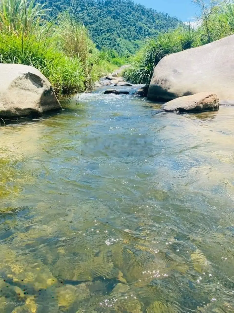 Bán lô đất trồng cây lâu năm 2.3ha có suối tự nhiên trước mặt ô tô vào tận nơi, có 3 tỷ Xã Hoà Ninh