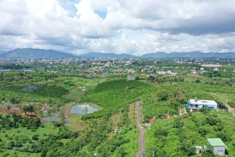 Bán đất đường Lý Thường Kiệt, có vườn. Đường nhựa, ngang 14m đất triền dốc giá rẻ 1 nửa xung quanh