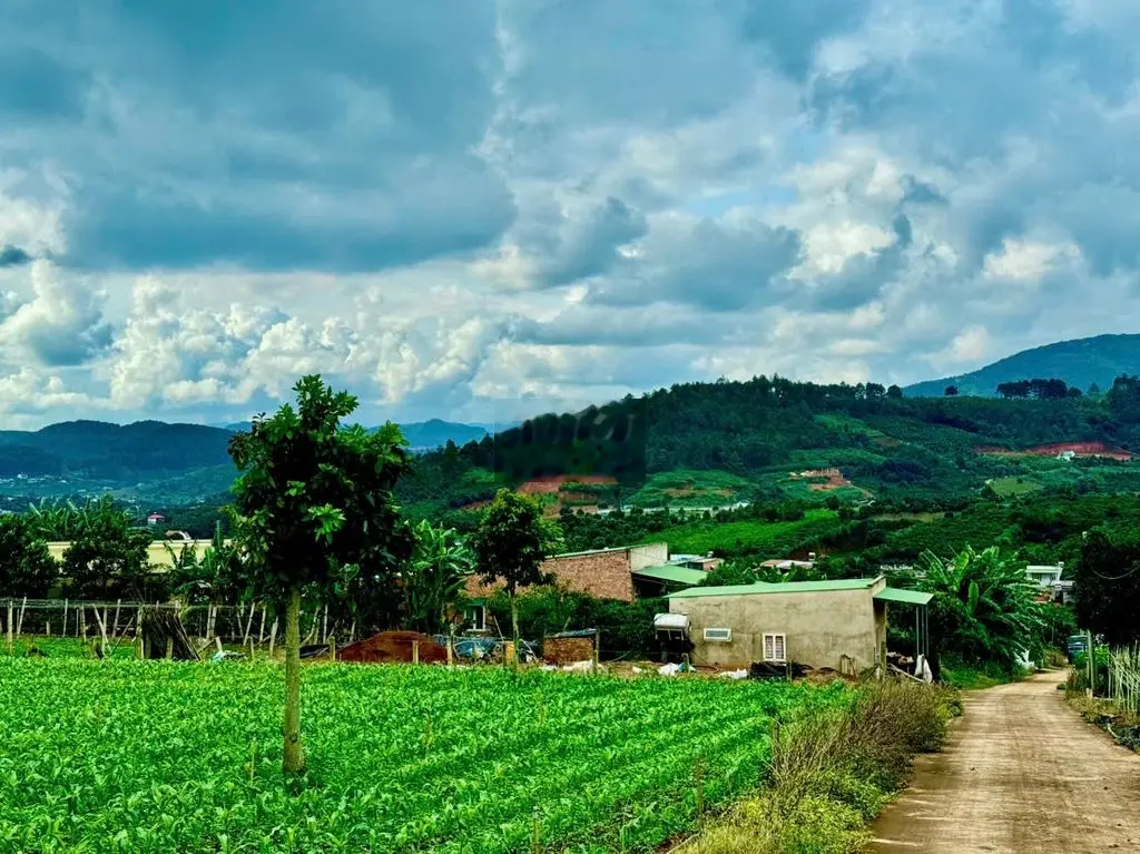 Bán lô đất View trực diện hồ Đông Thanh. Đất bằng đã lên Full thổ cư