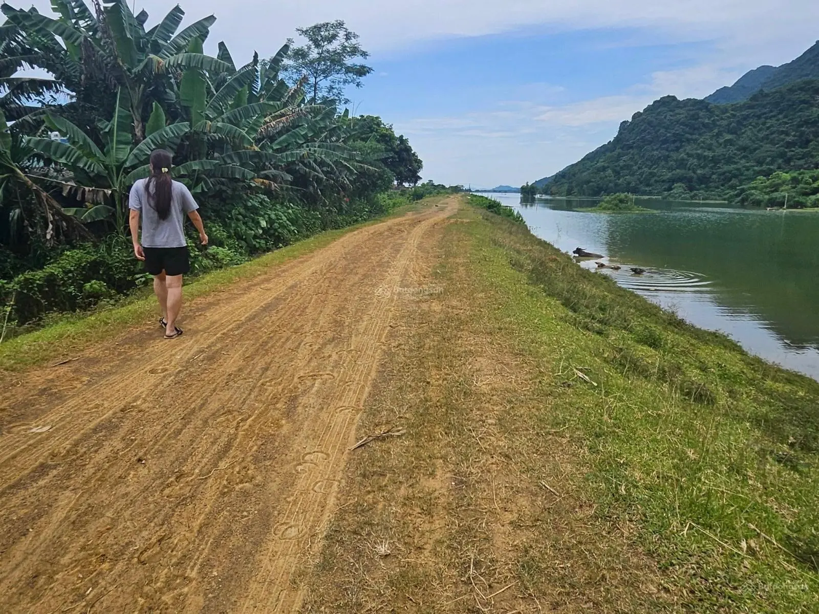 Bán đất lô góc, view hồ tại Yên Thủy, Hòa Bình. Diện tích 2000m2, giá 1,7 tỷ