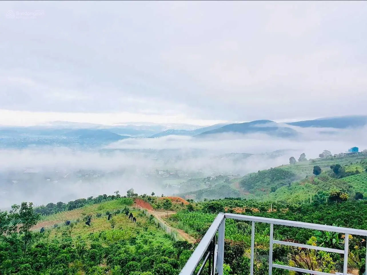 Chính chủ bán 700m2 view săn mây huyện Lâm Hà, cách Đà Lạt 20km. LH: 0907 705 ***