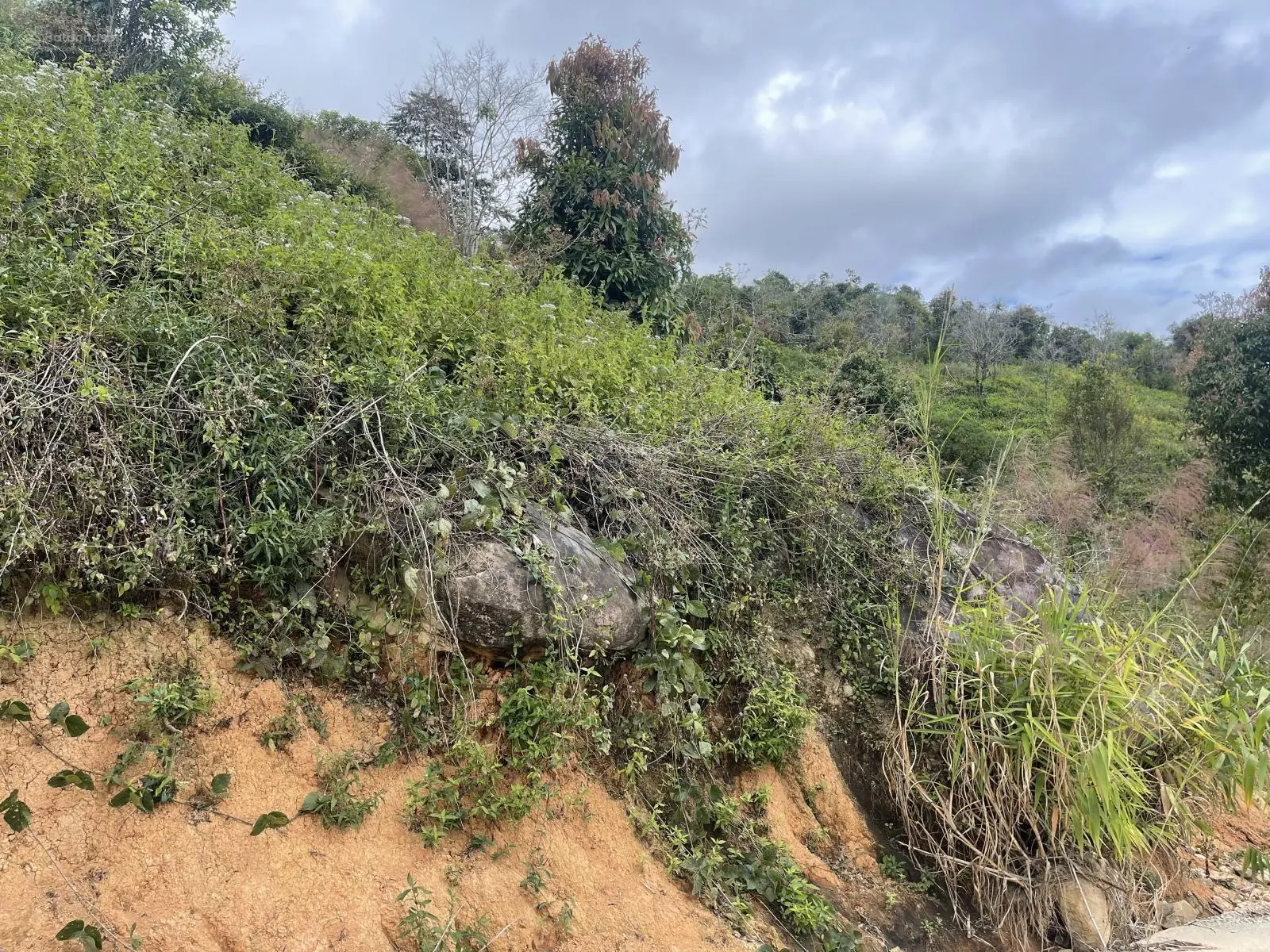 ~ 5000m Đất toạ lạc tại xã Trạm Hành, thành phố Đà Lạt, tỉnh Lâm Đồng .