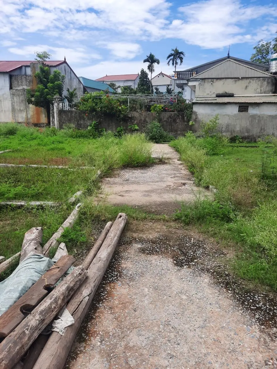 Hàng hot chủ cần tiền muốn bán lô đất 50m2 ở khu Tam Đa Thanh Văn ô tô vào đất giá hơn tỷ