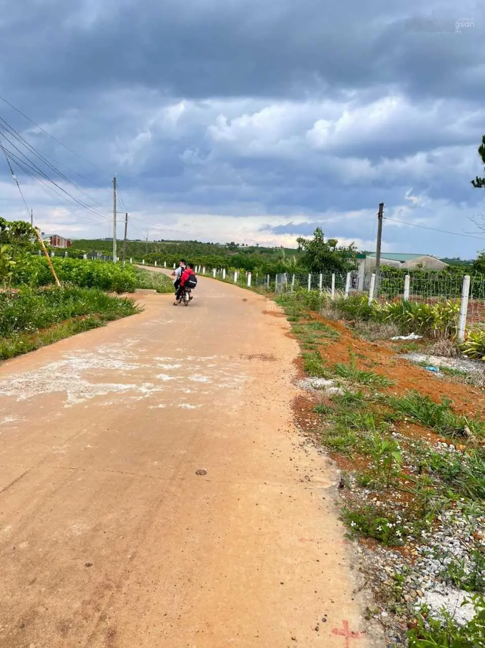 463m có 200m thổ cư cách Đà Lạt 12km giá chỉ 3 tỷ 9