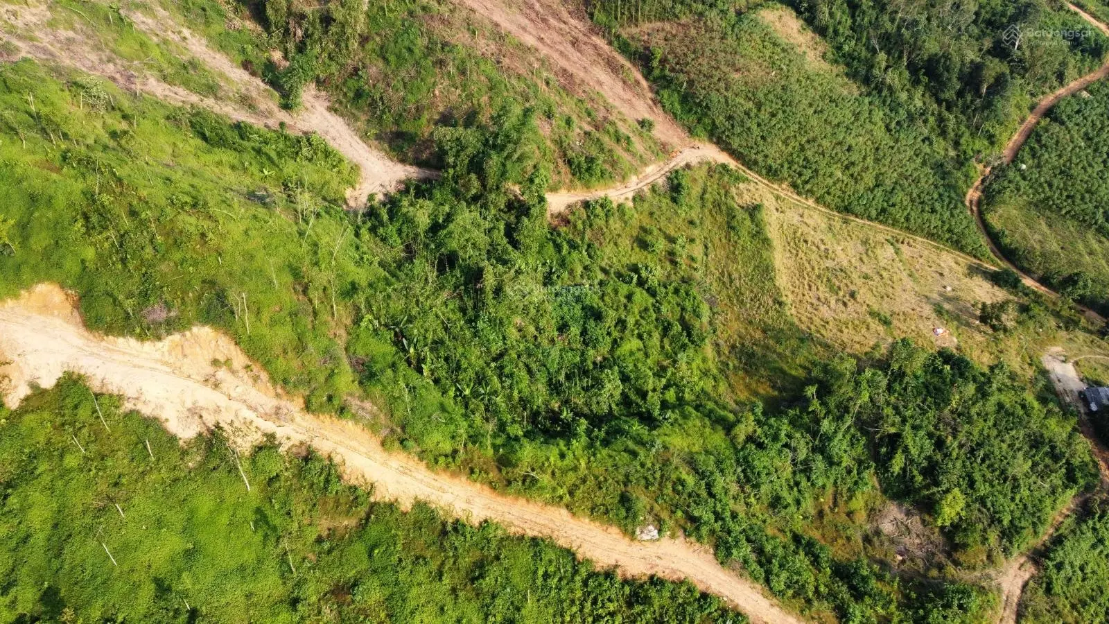 Hàng hiếm anh chị mua lô này dựng nhà, làm trang trại thì hết ý, em bán 10 ha đất rừng sản xuất