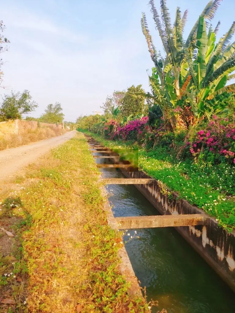 lô đất hướng đông nam, đường Ea Kao-Hoà Khánh, Buôn Ma Thuột, Đăk Lăk