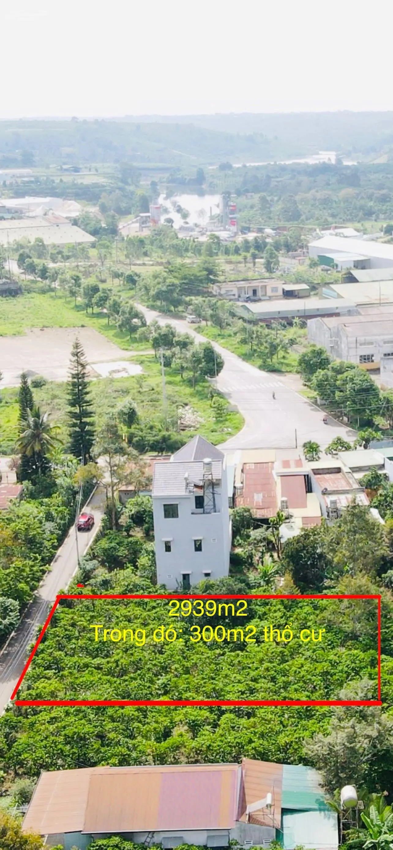 2939m2 (38x78m) có 300m2 thổ cư, 38m mặt đường nhựa tại Phường Lộc Sơn - Bảo Lộc chỉ 7,6 tỷ