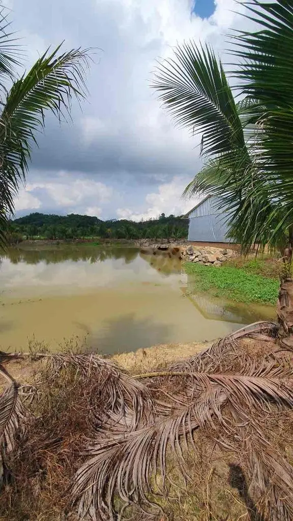 Bán đất - nhà - ao có sẵn trang trại