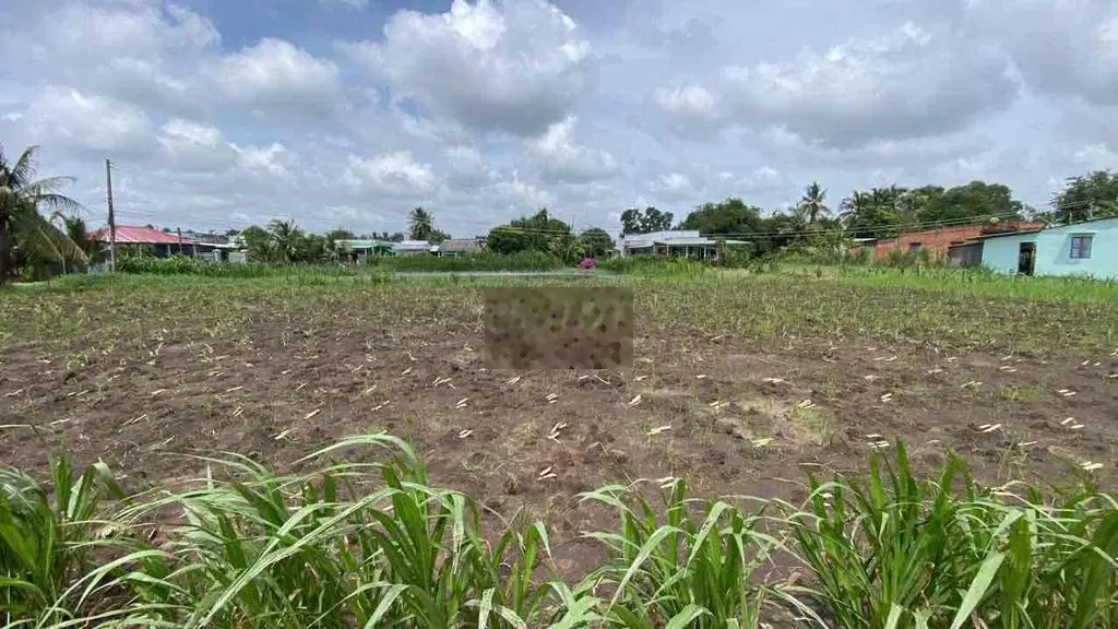 Trần Thị Bông - Quê Mỹ Thạnh . Cách QL1A 5km