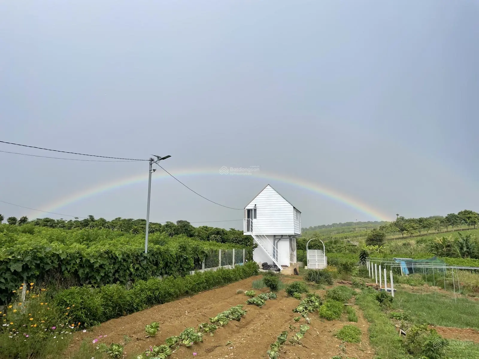 Chính chủ đang cần tiền nên bán gấp căn nhà vườn cùng 1 bungalow, đang cho thuê homestay