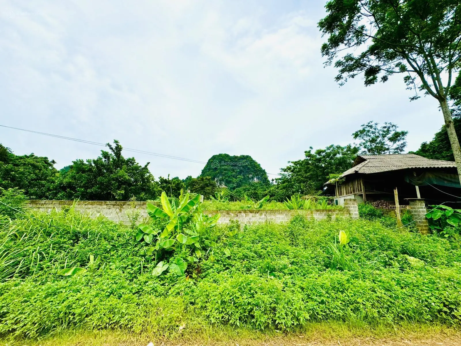 Bán đất tại Xóm Thăm, Suối Hoa, Tân Lạc, Hòa Bình. Diện tích 2176m2, giá thương lượng