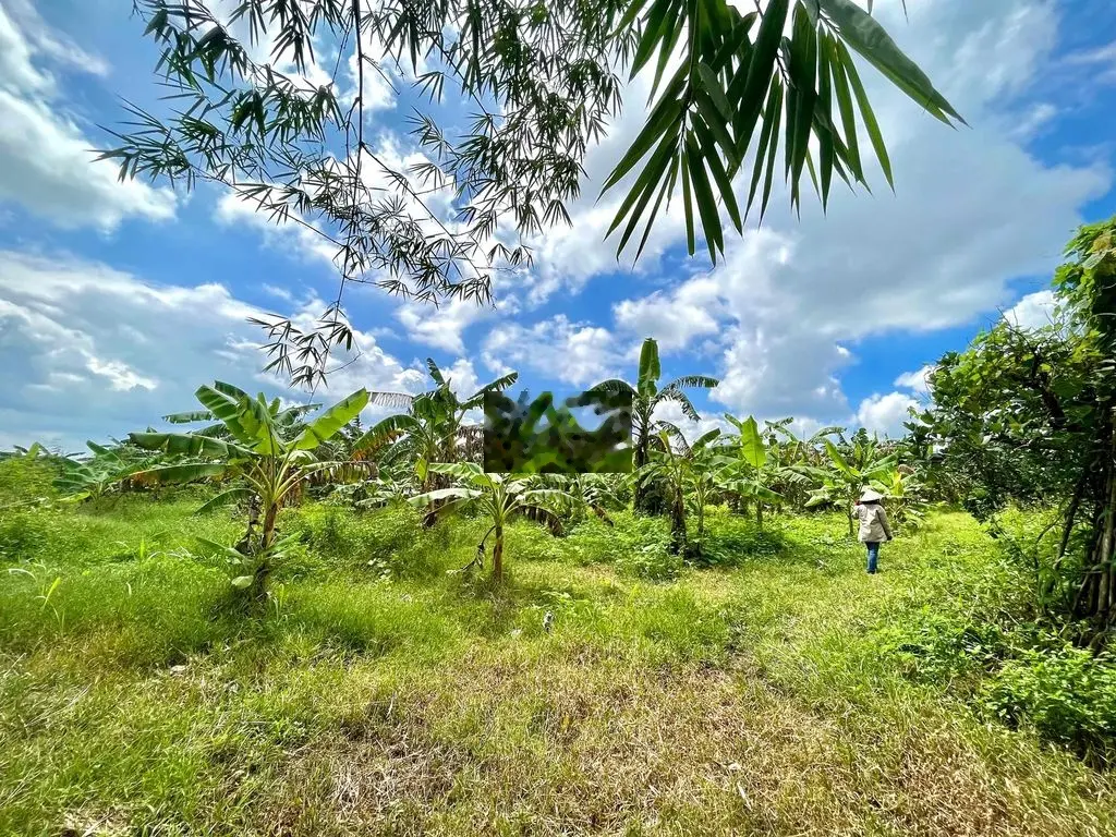 BÁN ĐẤT CHÍNH CHỦ VIEW HỒ TRỊ AN TẠI LA NGÀ - ĐỊNH QUÁN - ĐỒNG NAI