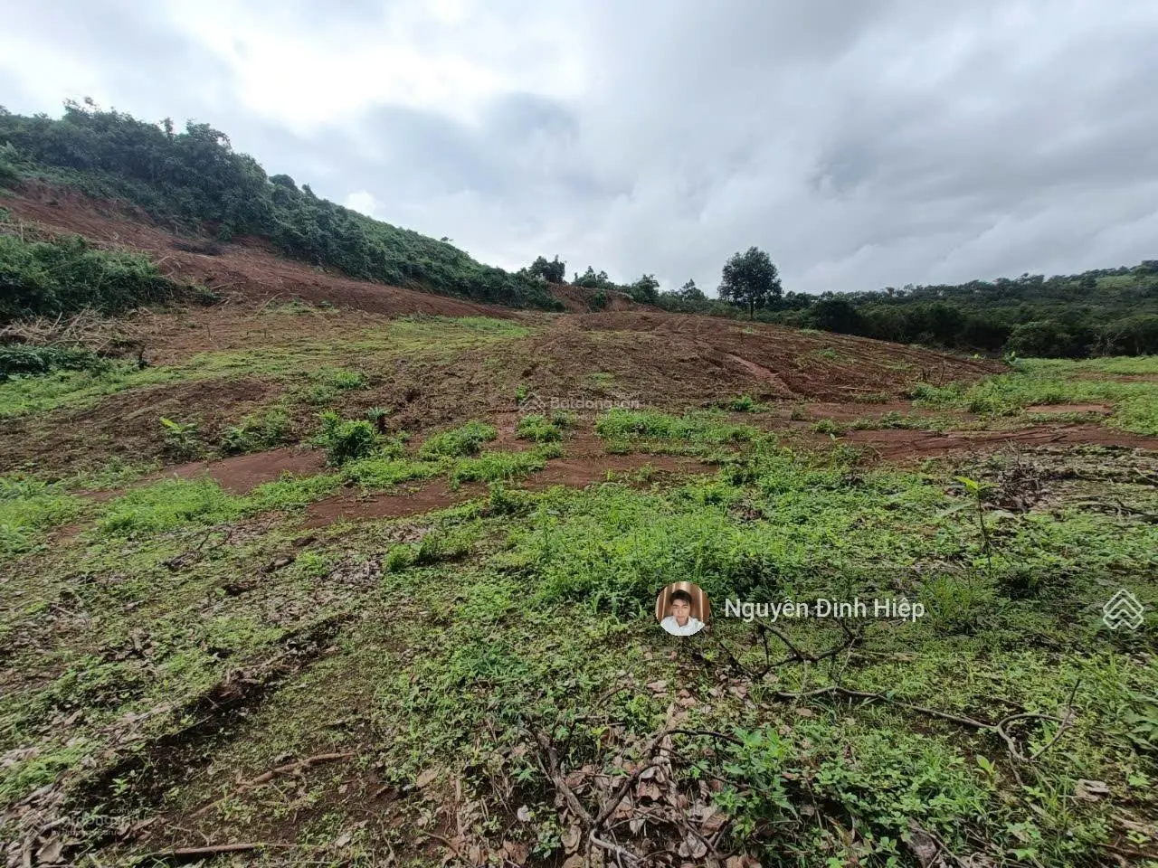 Bán đất Quảng Tân, 2.6ha, 100m đường đang đổ bê tông, giá bán 1,5 tỷ