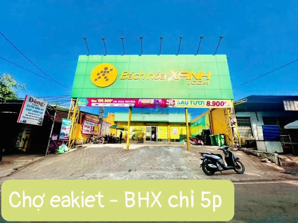 Bán Đất 2 Lô Liền kề Đất Đỏ Bazan, Ea Kiết full 70 gốc cafe Giá 180tr