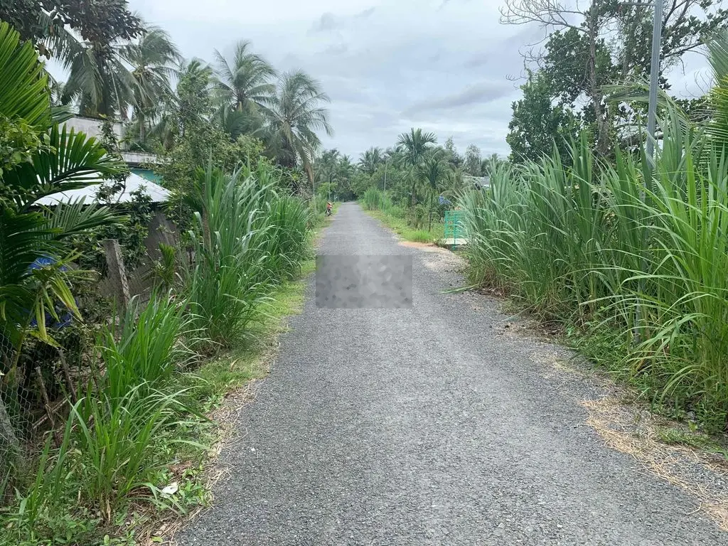 Nền Quang Phú Hiếu Phụng