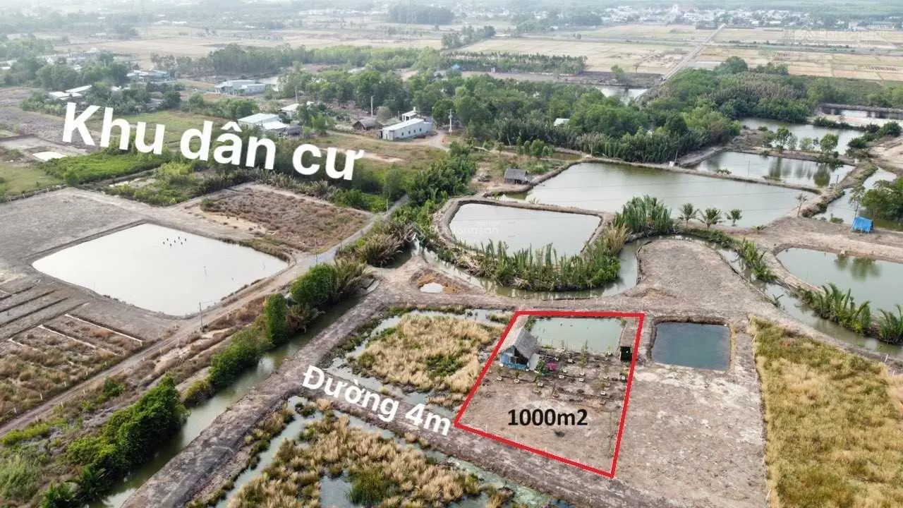 Bán nhà vườn đang hoàn thiện 1000m2 giáp rạch có đường xe hơi tới giá chỉ 1.3 tỷ (cắt lỗ hơn 400tr)