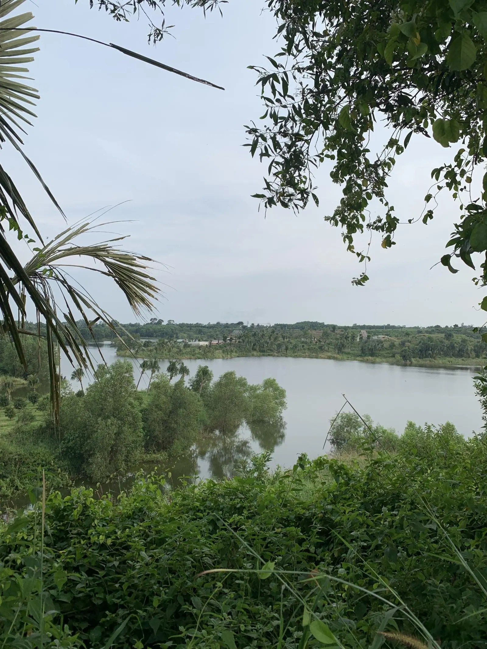 Bán view hồ lồ ô 40000 giáp nước bao quanh dài 1,5km giá bán 2 tỷ 500tr/1000m2