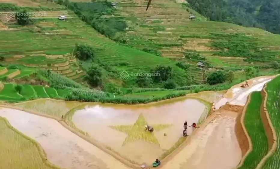 Bán đất Kim Bôi, Hòa Bình Bám Hồ, cạnh khu đô thị nghỉ dưỡng sinh thái của tập đoàn Sun Group