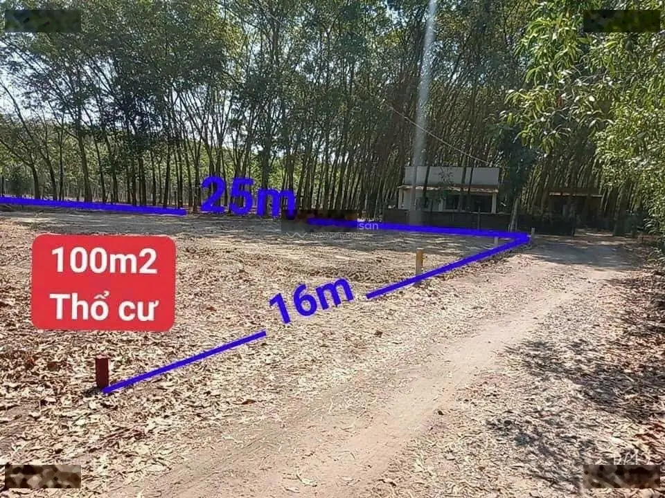 Bán gấp lô góc 305m2 có 100m2 thổ cư tại Lai Hưng, Bàu Bàng, đường nhựa 5m giá đầu tư